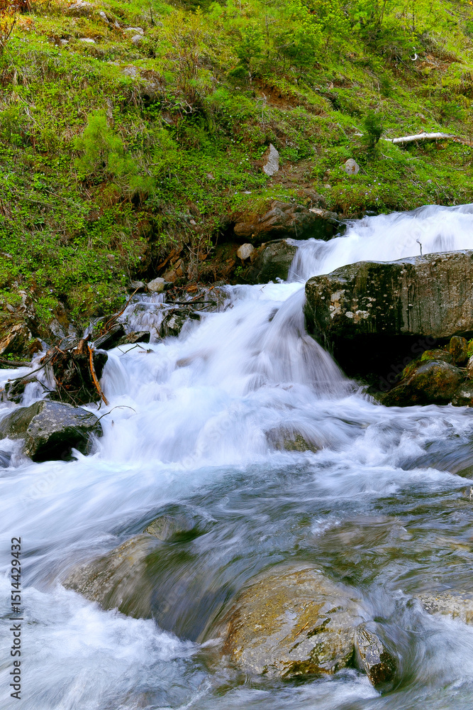 Fototapeta premium Himalayan Treks – Exploring Sar Pass, Snow Trails of Himachal & Uttarakhand Heights 
