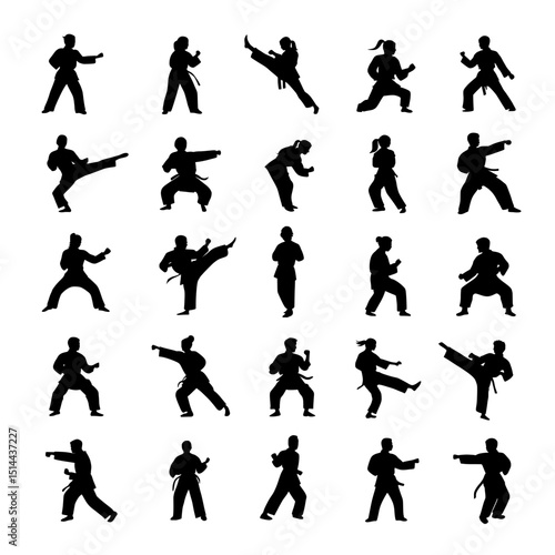 vector silhouettes of people , Collection of various karate stances and movements in silhouette form art