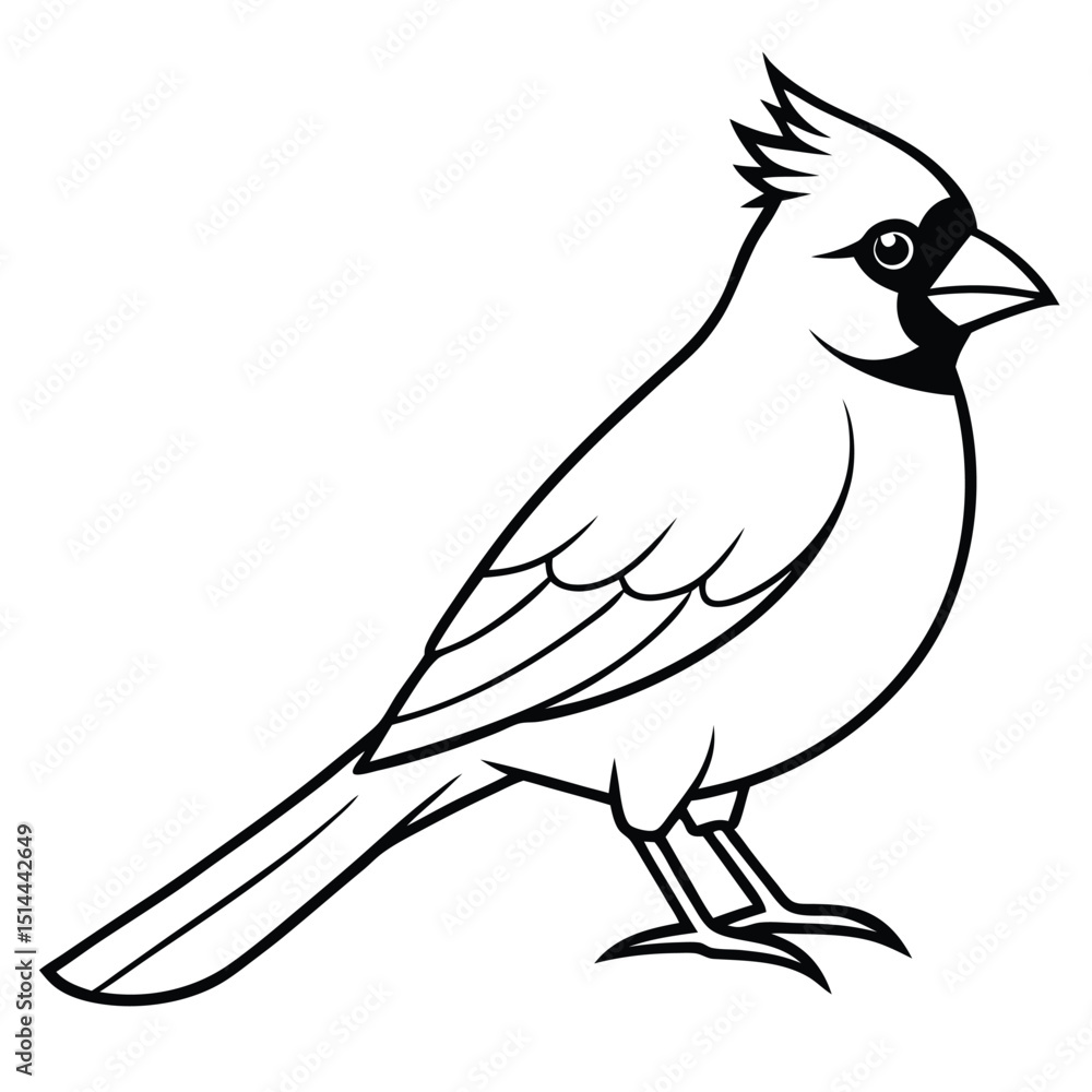 Obraz premium beautiful cardinal bird 