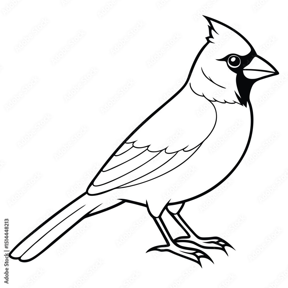 Obraz premium beautiful cardinal bird 