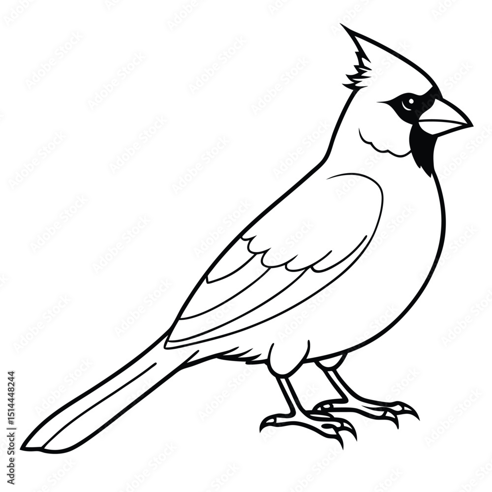 Obraz premium beautiful cardinal bird 