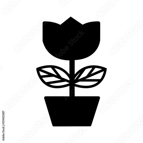 flower in a pot