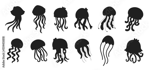 collections jellyfish underwater flat isolated