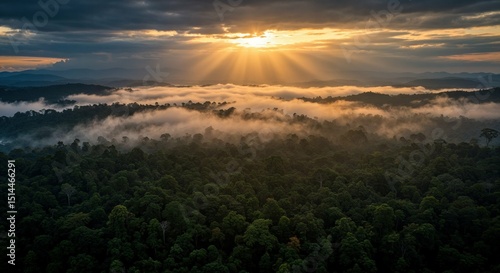 Sunrise over forest aerial view with clouds and sun rays nature landscape