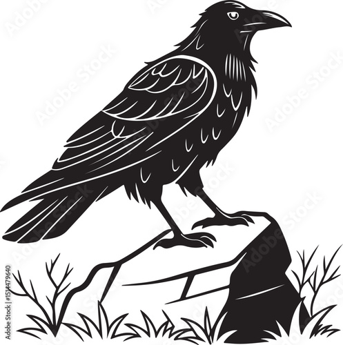 Raven standing firmly on rugged rocky surface