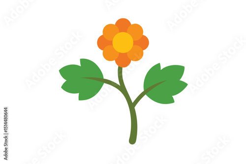 Cloudberry branch stand with delicate details vector art illustration