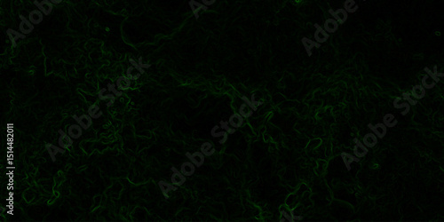 Abstract digital background with faint, glowing green electric lines and fluid. Mysterious, eerie, and atmospheric mood. Organic swirls resembling fog or ethereal energy currents.