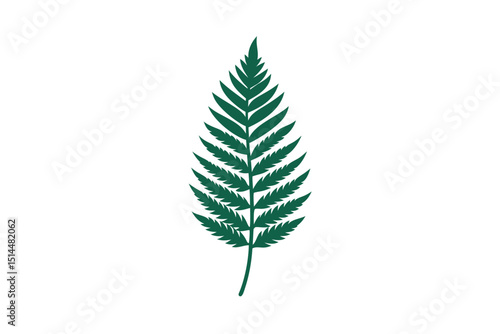 Fern leaf with fine line details vector art illustration