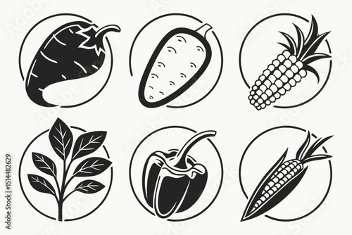 set of different kinds of vegetables