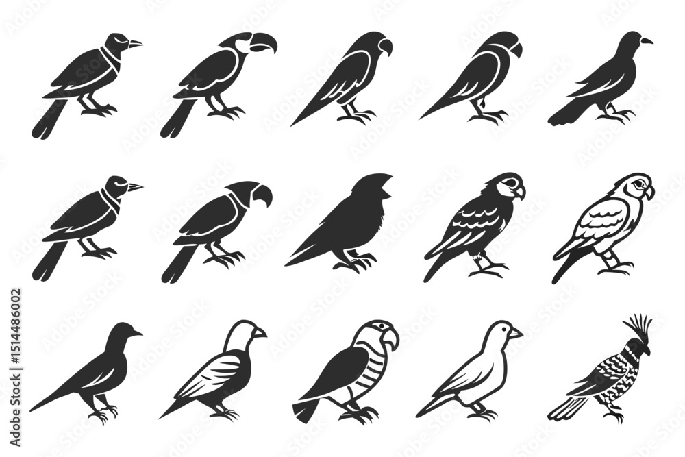 Fototapeta premium set of birds