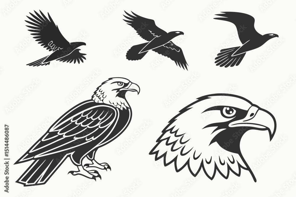 Obraz premium set of eagle
