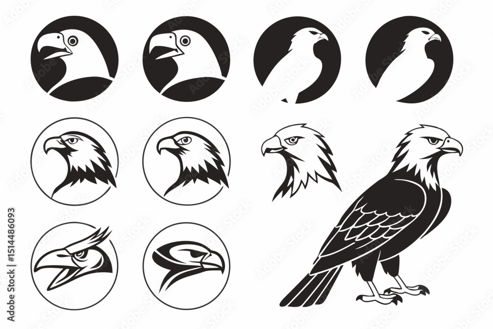 set of birds set of birds