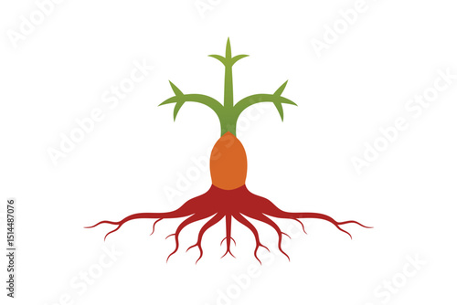 Regal root organizer artistic nature vector art illustration