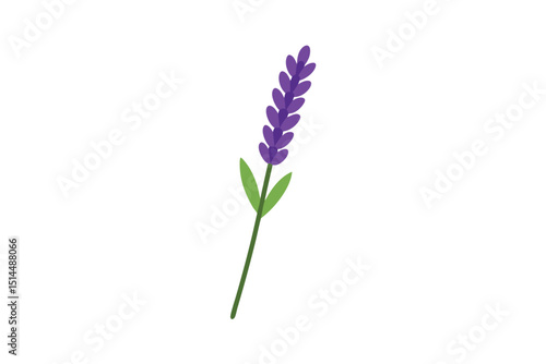 Single lavender sprig elegant floral vector art illustration