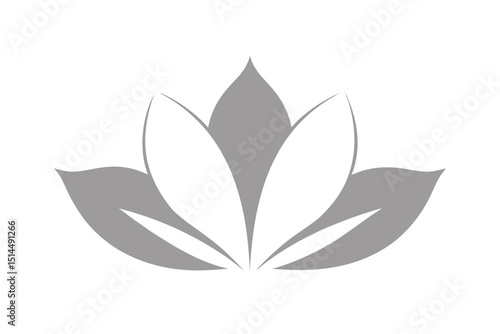 White petal symphony soft floral vector art illustration