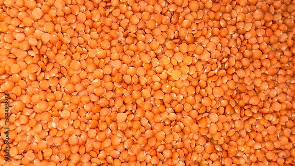 Close up reveals vibrant pile of uncooked, orangered lentils displaying a rich, textured surface Close up reveals vibrant pile of uncooked, orangered lentils displaying a rich, textured surface