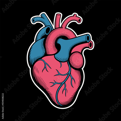 Human heart vector design illustration.