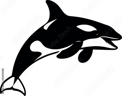 Killer Whale vector black silhouette print design