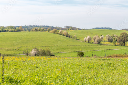 Frühlingslandschaft