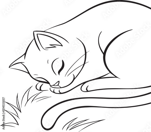 black and white cat vector
