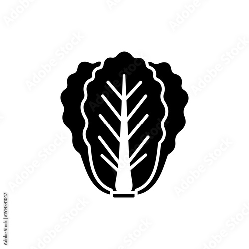 Folded Napa Cabbage Leaf on White Background