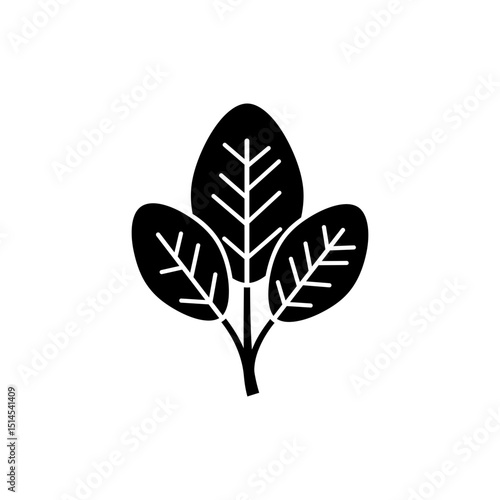 Close-up of Spinach Leaf with Visible Veins on White Background