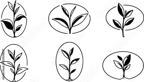 Vector logo design ellipse herbal green tea leaf natural sprout with green leaves . set of icons
