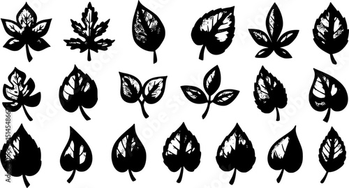 green leaf icon set on a white background.hand drawn leaf set vector illustration decorative elements
