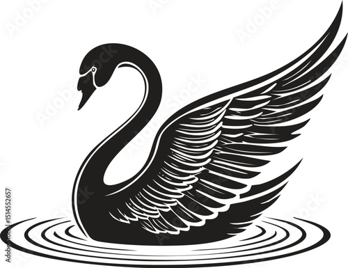 Black Swan Swimming Silhouette Vector