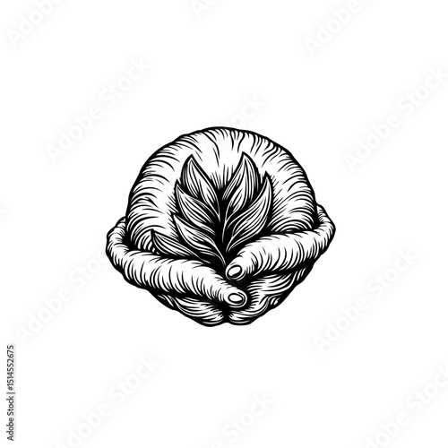 Hand-drawn illustration featuring hands holding a sprouting plant with intricate details