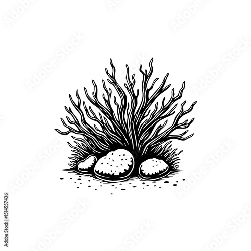 Abstract illustration of sea coral with pebbles in minimalist black and white style