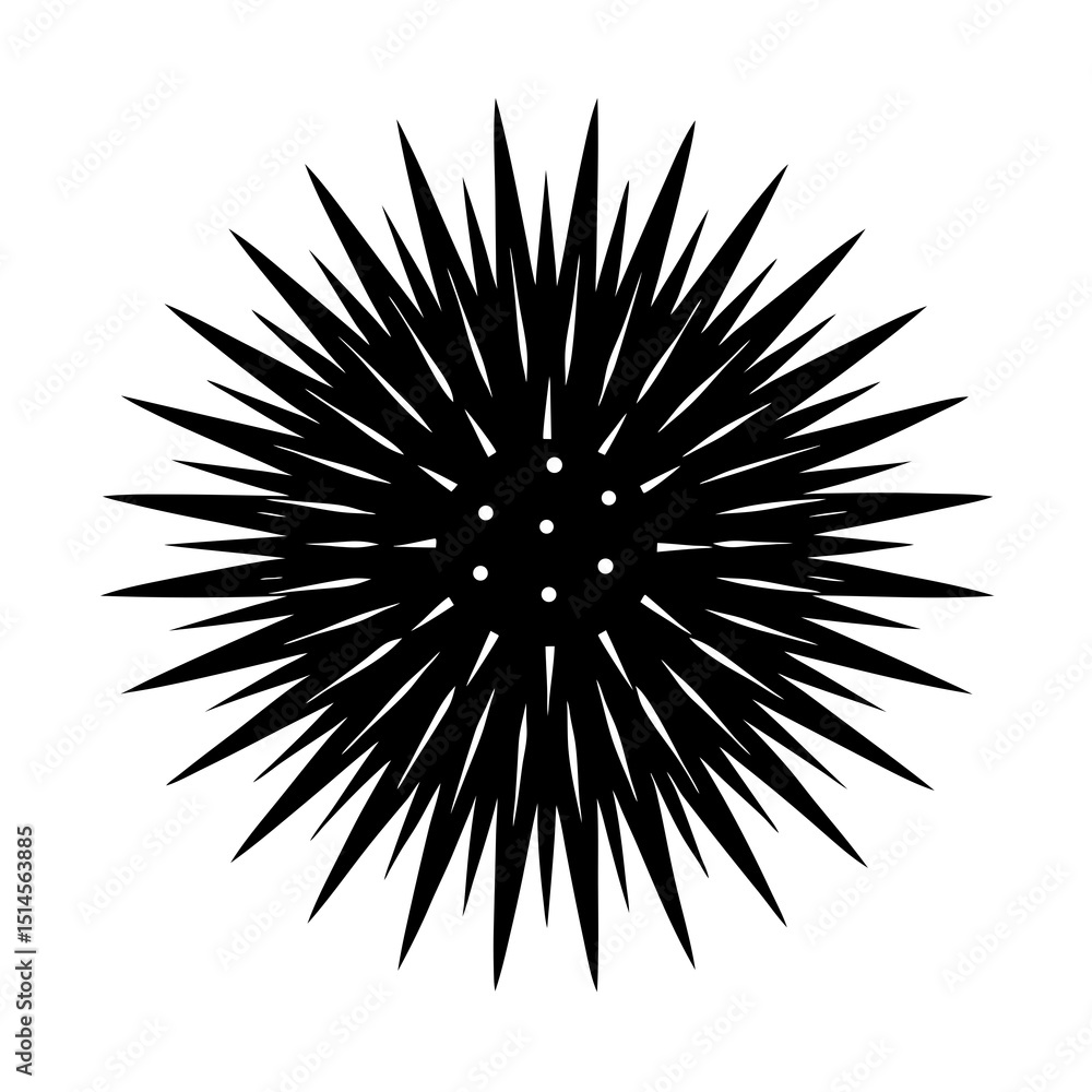 Fototapeta premium Black Spiny Sea Urchin Silhouette - Marine Life Underwater Animal Icon
