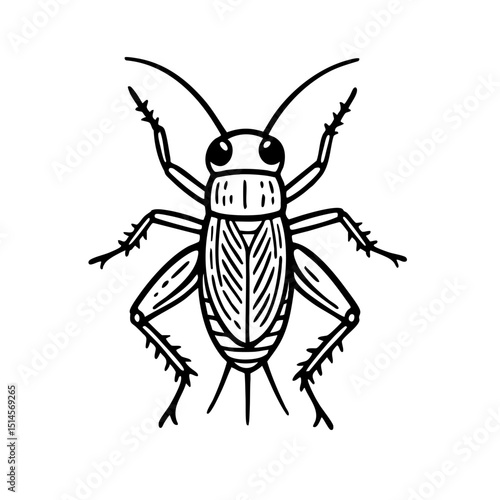 Cricket Doodle - Order Orthoptera