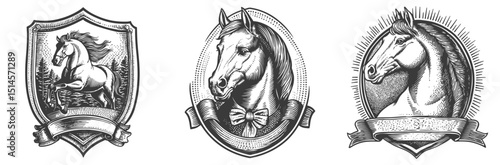 Vintage Engraving Illustrations of Horses in Decorative Shields