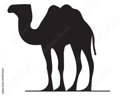 vector illustration of a camel