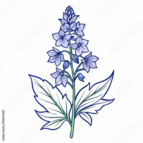 Delphinium Bloom Flower Botanical Drawing Line Art Vector Illustration