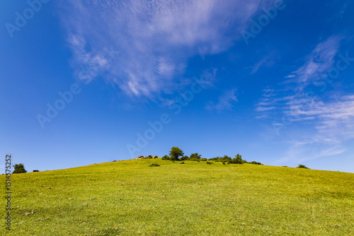 Canvas Print A vibrant green grassy hilltop under a wide, clear blue sky with soft clouds