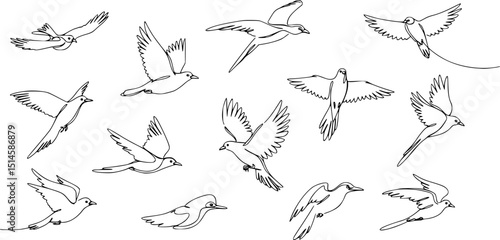 Flying bird continuous line drawing element isolated on white background for decorative element. Vector illustration of animal form in trendy outline style.