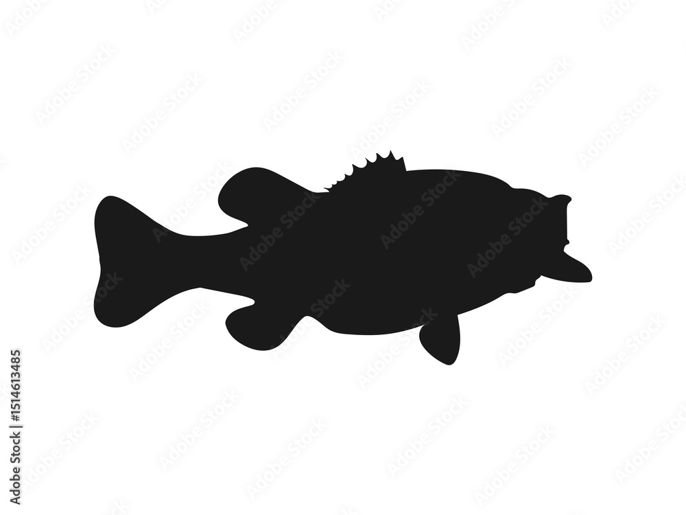 Bass fish silhouette icon. Simple black silhouette of a largemouth bass. Bass fish silhouette vector art white background. Bass fish silhouette icon. Simple black silhouette of a largemouth bass. Bass fish silhouette vector art white background.