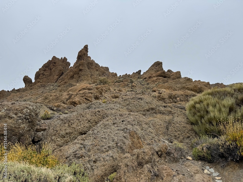 Fototapeta premium mountain landscape in the desert