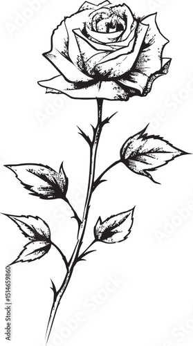 Beautiful Rose Flower Black Vector Logo with Graceful Lines Black Rose Emblem Beautiful Vector Floral Logo for Branding