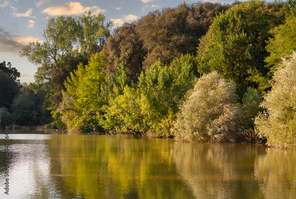Fototapeta premium Relaxing scene at Villa Pamphili, Rome, with lush foliage and reflective water