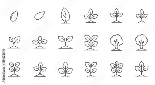 Plant Growth Stages Seed to Tree - Line Icons Set
