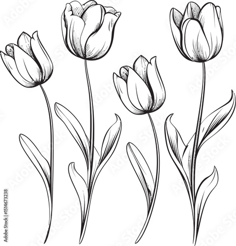 Bold Tulip Flower Cluster Logo Vector Black Style Minimalist Black Tulip Bouquet Vector Icon Design