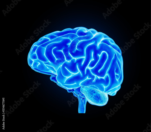 Brain xray blue on the black background.