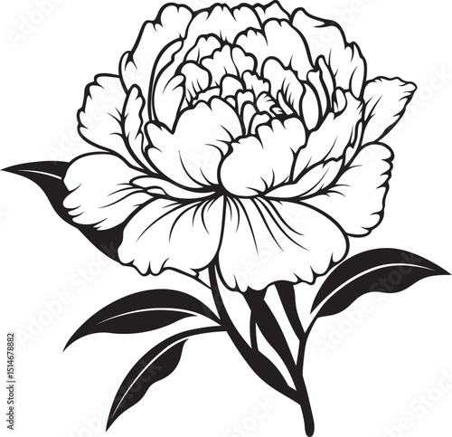 Peony Whispered Charms Black Vector Blooming Peony Essence Elegant Logo Art