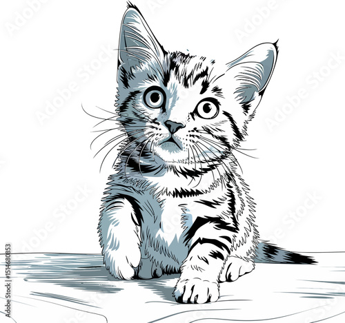 Playful Kitten with Colorful Toy