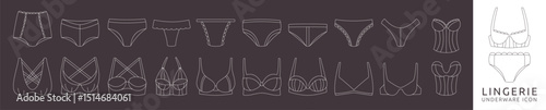 Underwear icon. Bra and panty. Female lingerie. Elegant camisole for woman. Brassiere lace. Design thong bikini. Underwear bottom fashion. Flat sign of clothes. Body textile. Vector line garish set