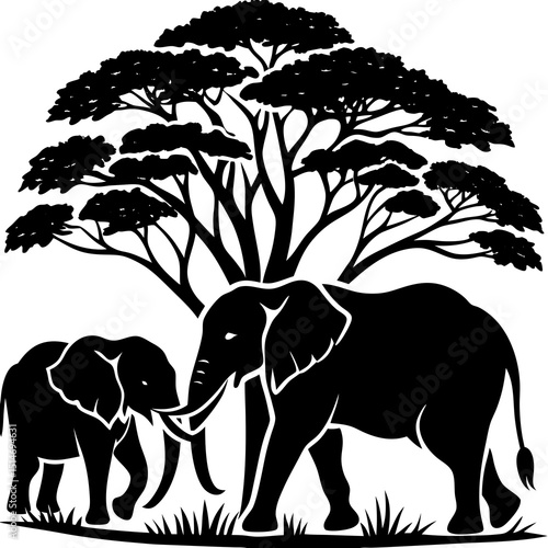 elephants in the forest