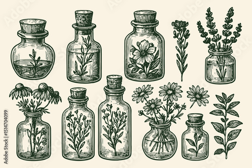 herbal glass bottles and plants vintage engraving vector illustration